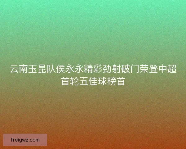 云南玉昆队侯永永精彩劲射破门荣登中超首轮五佳球榜首 云南玉昆队侯永永精彩劲射破门荣登中超首轮五佳球榜首